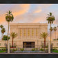 Mesa Palm Trees