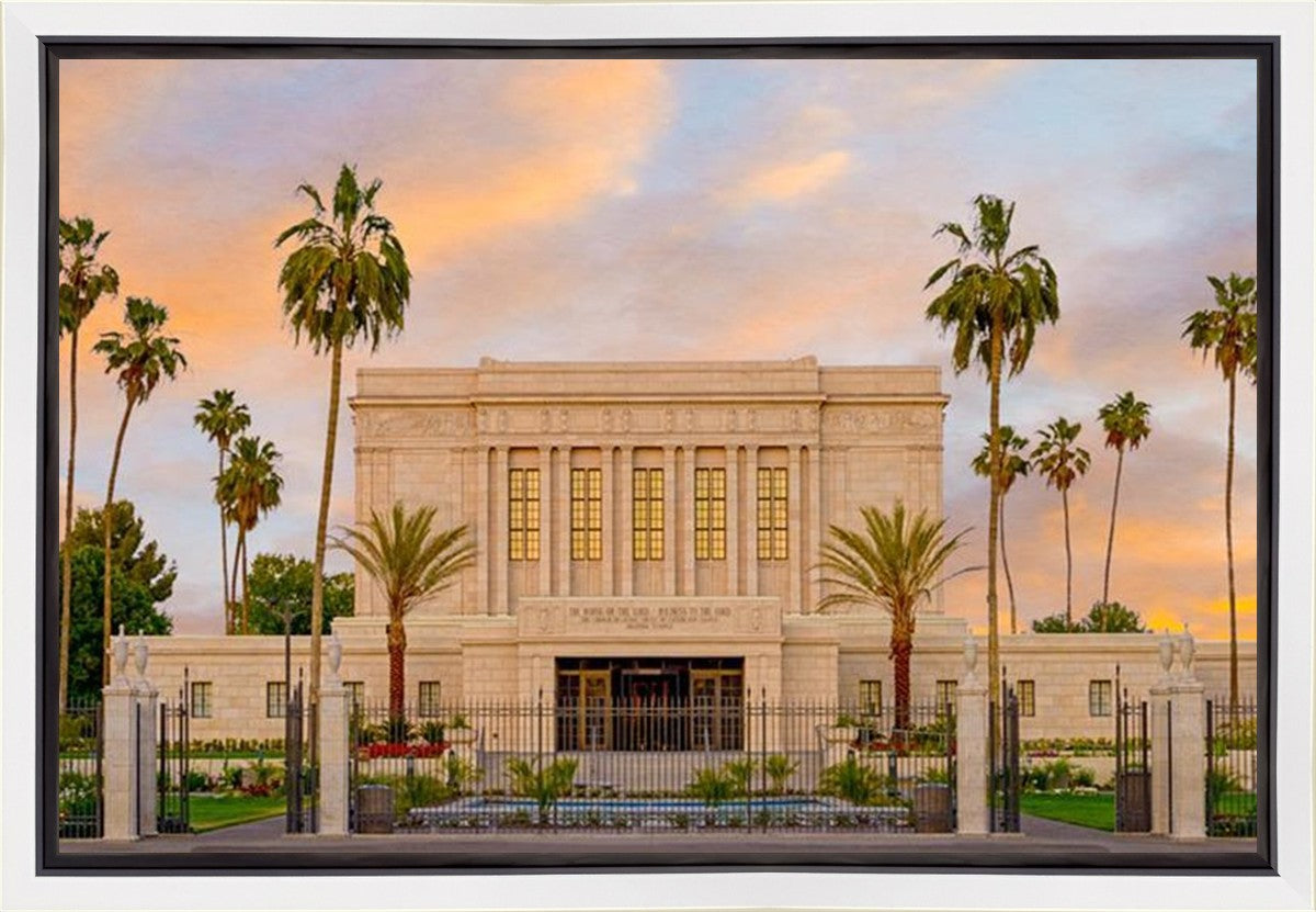 Mesa Palm Trees Gallery Wrap