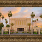 Mesa Palm Trees