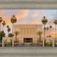 Mesa Palm Trees