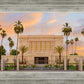 Mesa Palm Trees