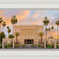 Mesa Palm Trees