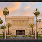 Mesa Palm Trees