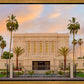 Mesa Palm Trees