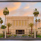 Mesa Palm Trees