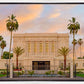 Mesa Palm Trees