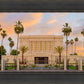 Mesa Palm Trees
