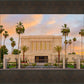 Mesa Palm Trees