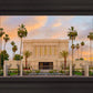Mesa Palm Trees