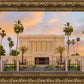 Mesa Palm Trees