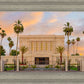 Mesa Palm Trees