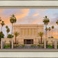 Mesa Palm Trees