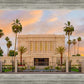 Mesa Palm Trees