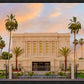 Mesa Palm Trees