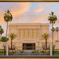Mesa Palm Trees