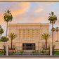 Mesa Palm Trees