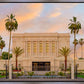 Mesa Palm Trees
