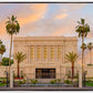 Mesa Palm Trees