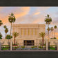 Mesa Palm Trees