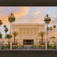 Mesa Palm Trees