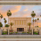 Mesa Palm Trees