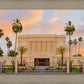 Mesa Palm Trees