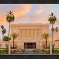 Mesa Palm Trees