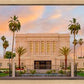 Mesa Palm Trees