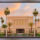 Mesa Palm Trees