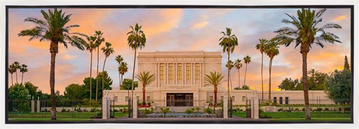 Mesa Palm Trees Gallery Wrap