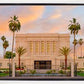 Mesa Palm Trees