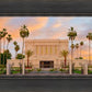 Mesa Palm Trees