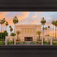 Mesa Palm Trees