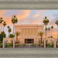 Mesa Palm Trees