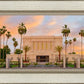 Mesa Palm Trees