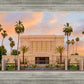 Mesa Palm Trees