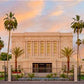 Mesa Palm Trees
