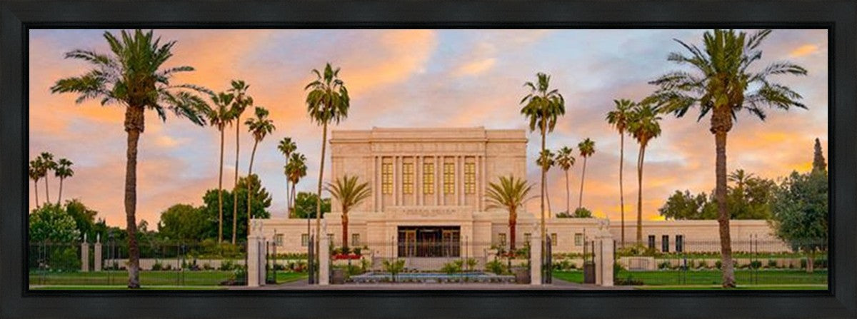 Mesa Palm Trees Gallery Wrap