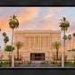 Mesa Palm Trees