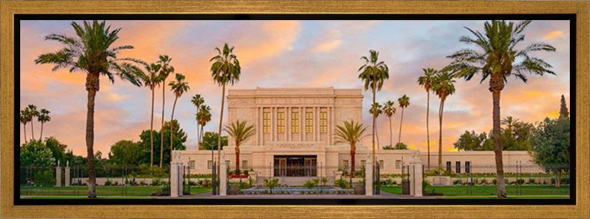 Mesa Palm Trees Gallery Wrap