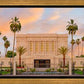 Mesa Palm Trees