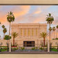 Mesa Palm Trees