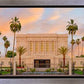 Mesa Palm Trees