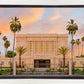 Mesa Palm Trees