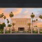 Mesa Palm Trees