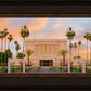 Mesa Palm Trees