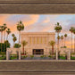 Mesa Palm Trees