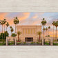 Mesa Palm Trees
