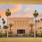 Mesa Palm Trees
