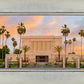 Mesa Palm Trees